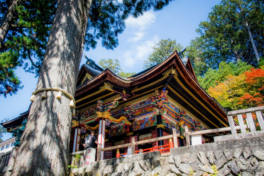 MITSUMINE SHRINE ＠SAITAMA