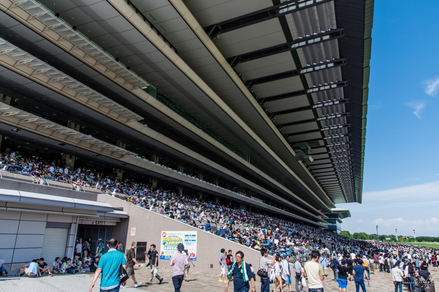 JAPANESE DERBY @TOKYO RACECOURSE