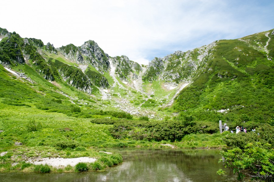 CENTRAL ALPS SENJOJIKI CURL