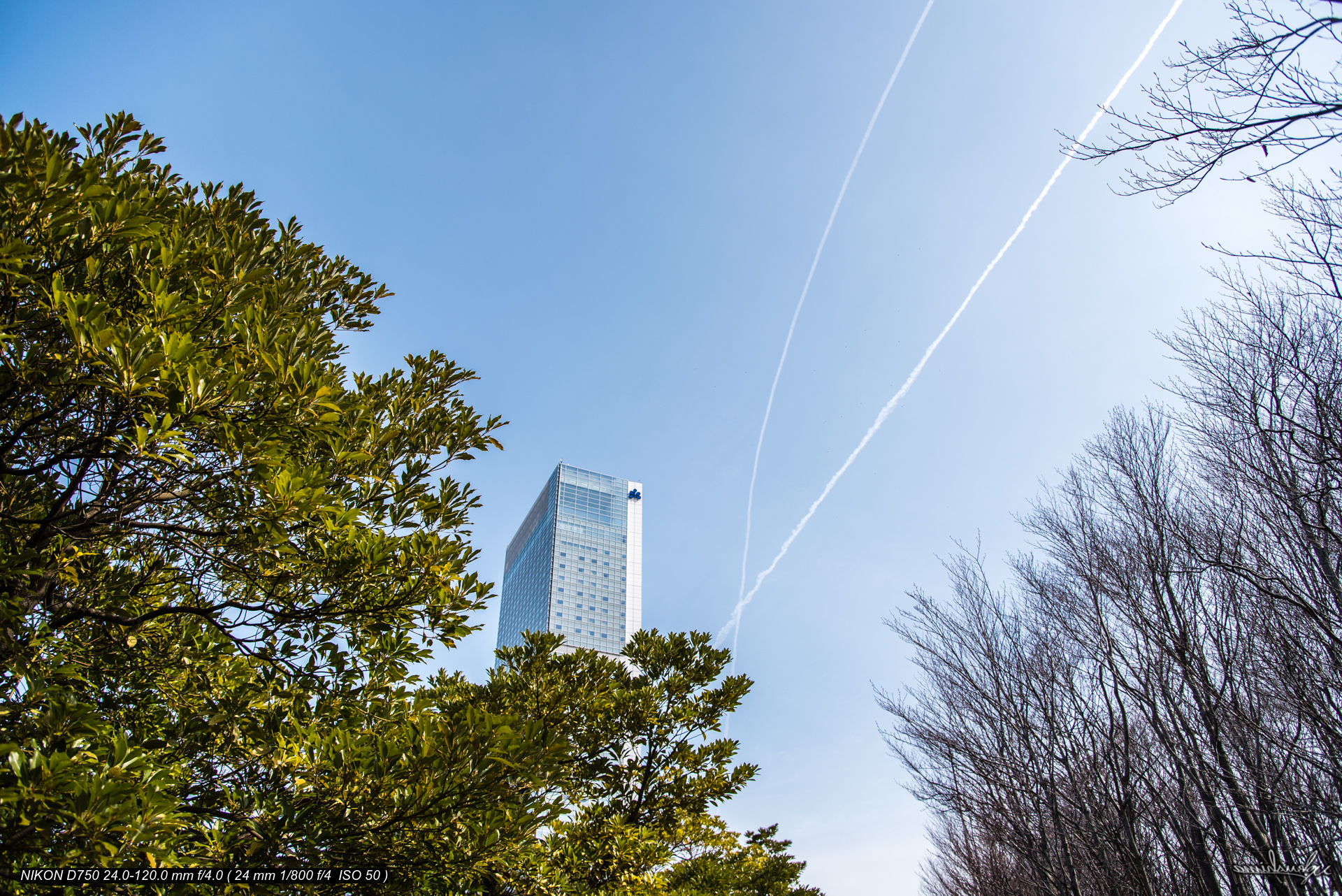 CONTRAILS