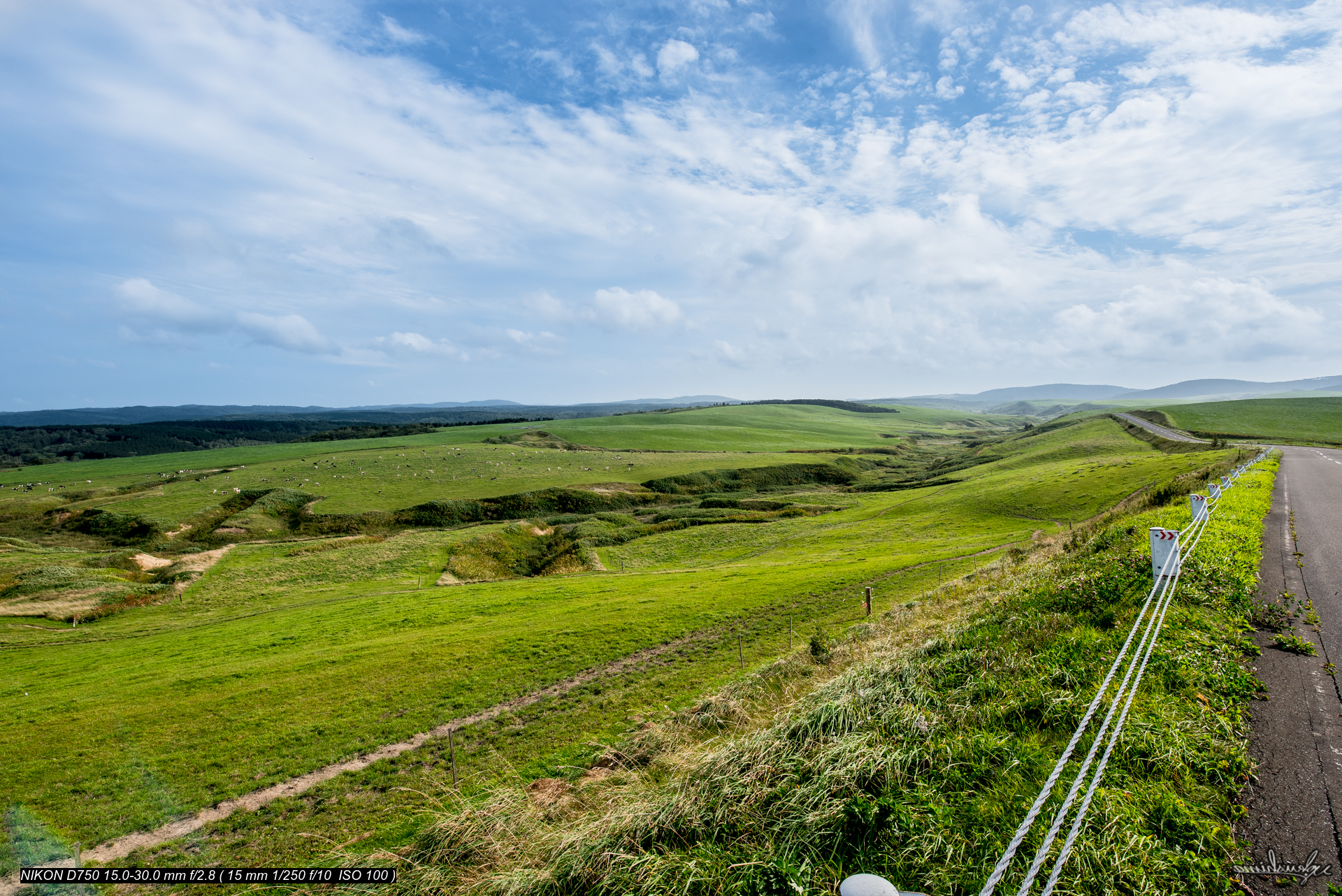 OKIBO MEADOW