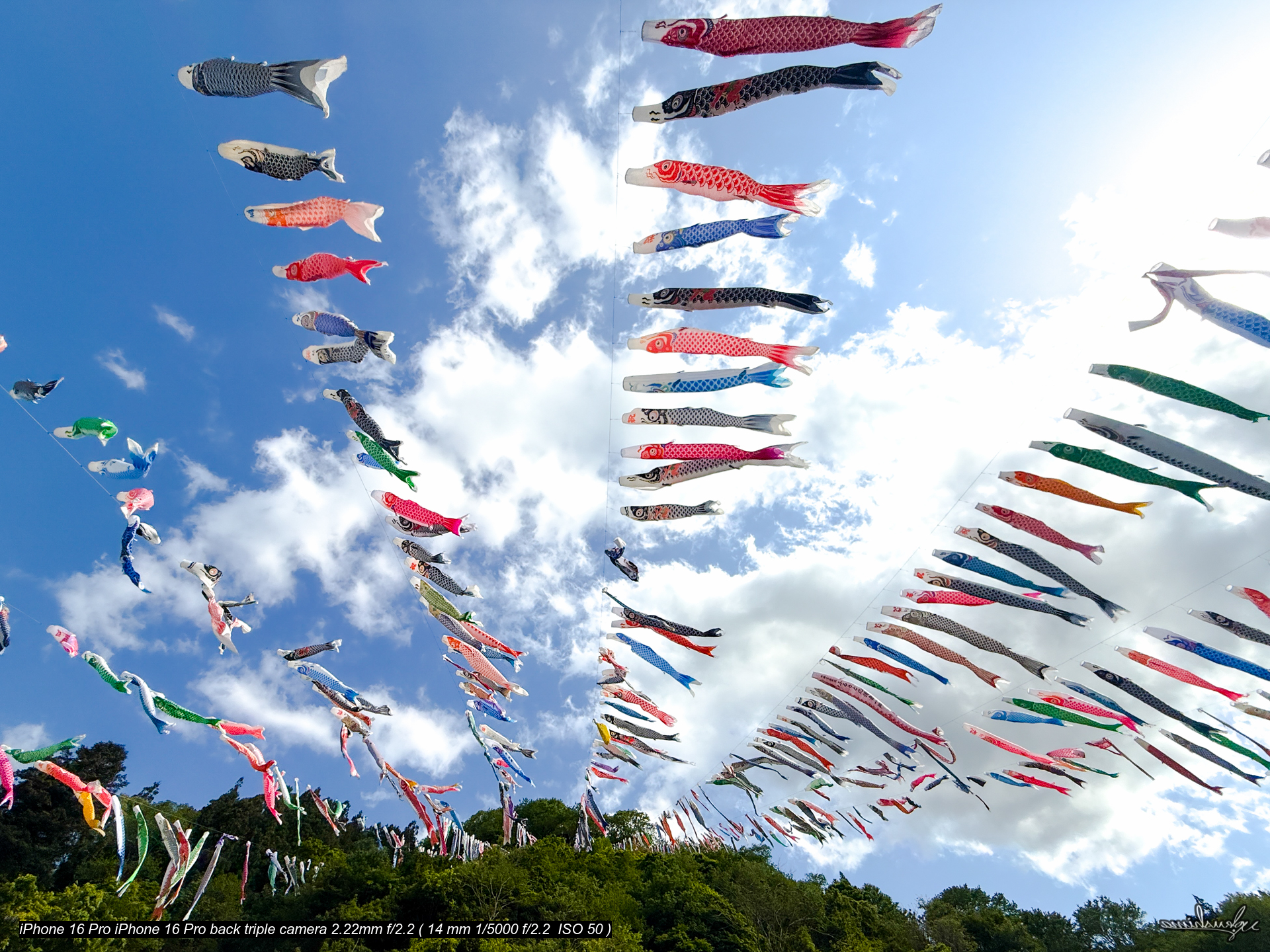 KOINOBORI (CHILDREN’S DAY)